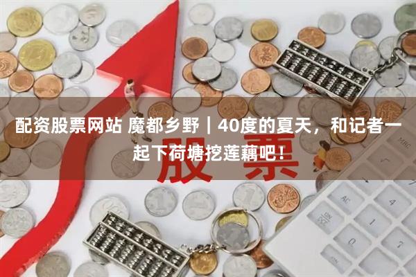 配资股票网站 魔都乡野｜40度的夏天，和记者一起下荷塘挖莲藕吧！