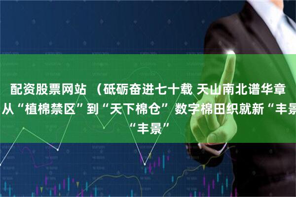 配资股票网站 （砥砺奋进七十载 天山南北谱华章）从“植棉禁区”到“天下棉仓” 数字棉田织就新“丰景”