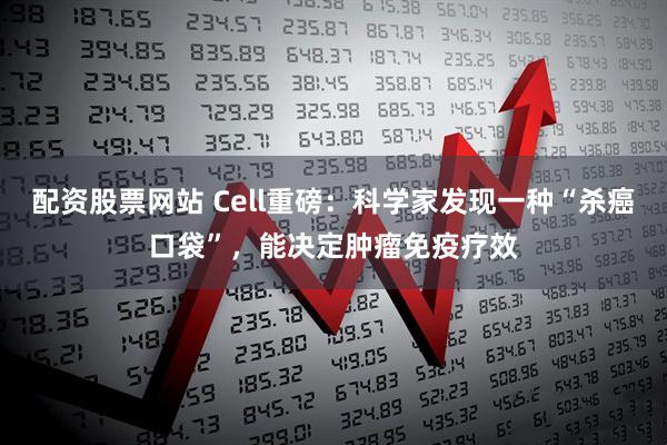 配资股票网站 Cell重磅：科学家发现一种“杀癌口袋”，能决定肿瘤免疫疗效